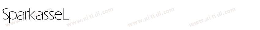 Sparkasse Light字体转换